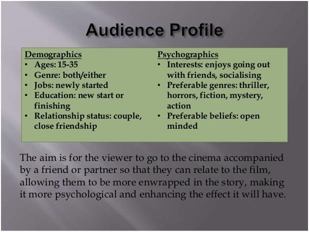 audience profile