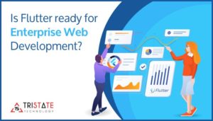 flutter-ready-for-enterprise-web-development